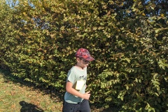 PXL_20251016_123044408.MP_