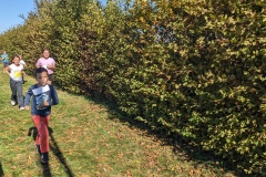 PXL_20251016_123049512.MP_