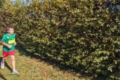 PXL_20251016_123153605.MP_