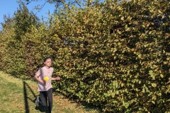 PXL_20251016_125704931.MP_