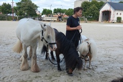 HARAS-5