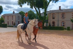 HARAS-9