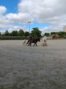 Bel été à tous! La rentrée est le lundi 1er/09.